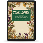 Wild Foods Foraging Explained + Folk Country Remedies Explained