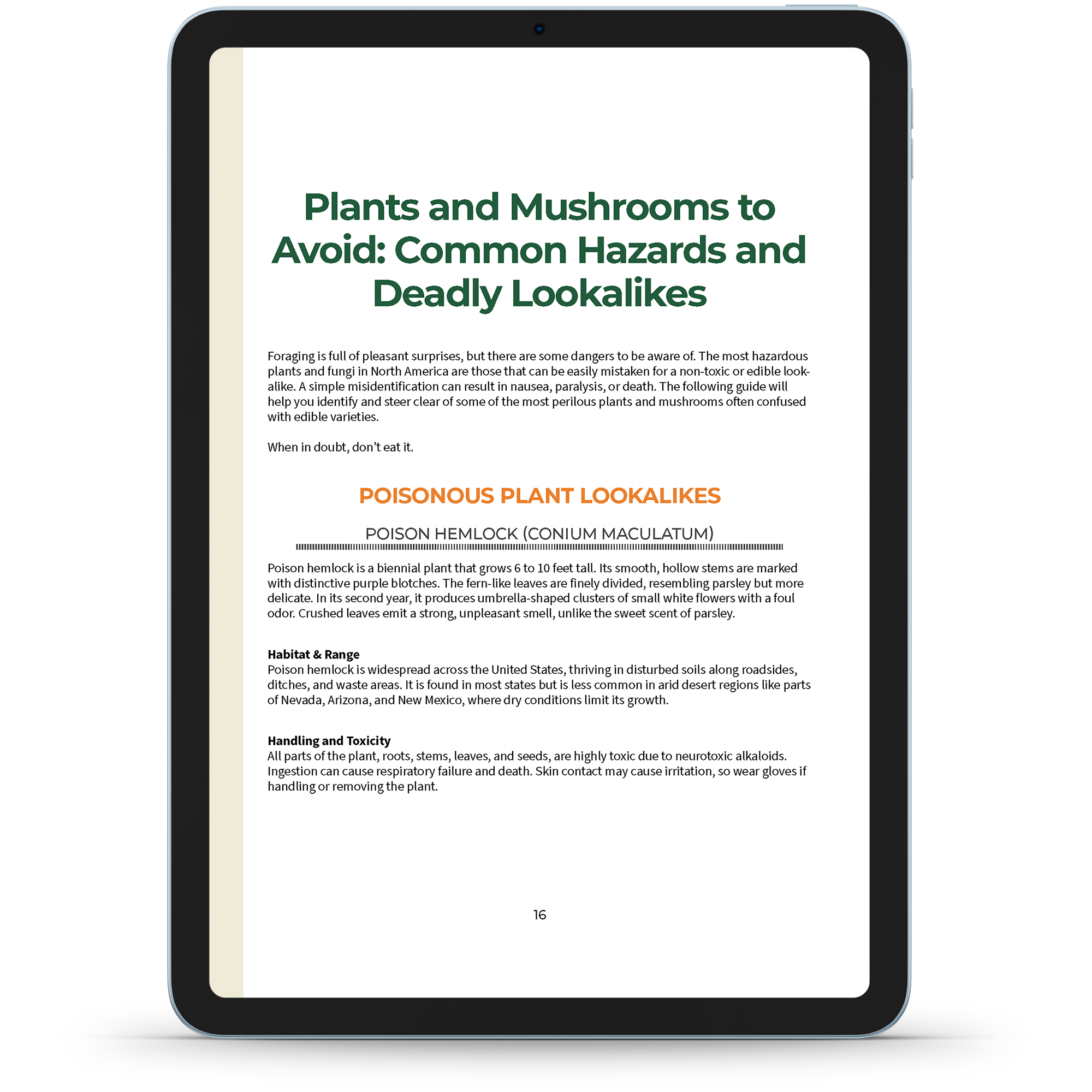 Wild Foods Foraging Explained + Folk Country Remedies Explained