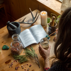 Beginner Herbalism Made Easy: A Guide for Making Medicine with Herbs from the Grocery Store