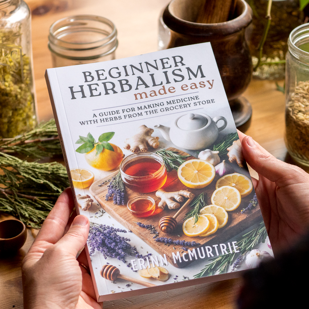 Beginner Herbalism Made Easy: A Guide for Making Medicine with Herbs from the Grocery Store