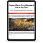 Nature & Remedies Book Bundle