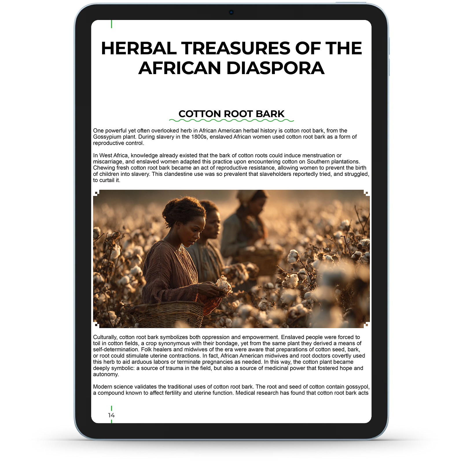 Nature & Remedies Book Bundle