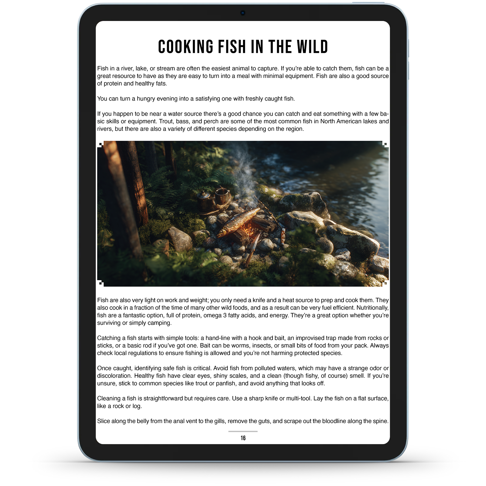 Nature & Remedies Book Bundle